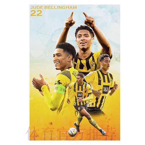 世界杯法国贝林厄姆数据统计权威解读 世界杯法国贝林厄姆数据统计权威解读